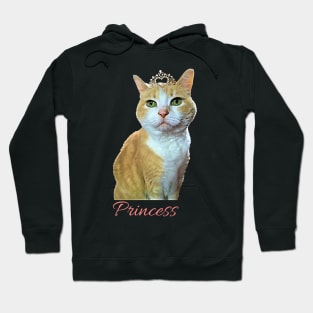 PrincessKitty Hoodie